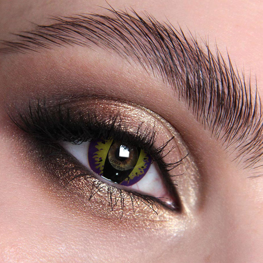 Purple Kitty Colour Contact Lenses