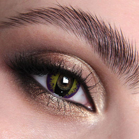 Purple Kitty Colour Contact Lenses